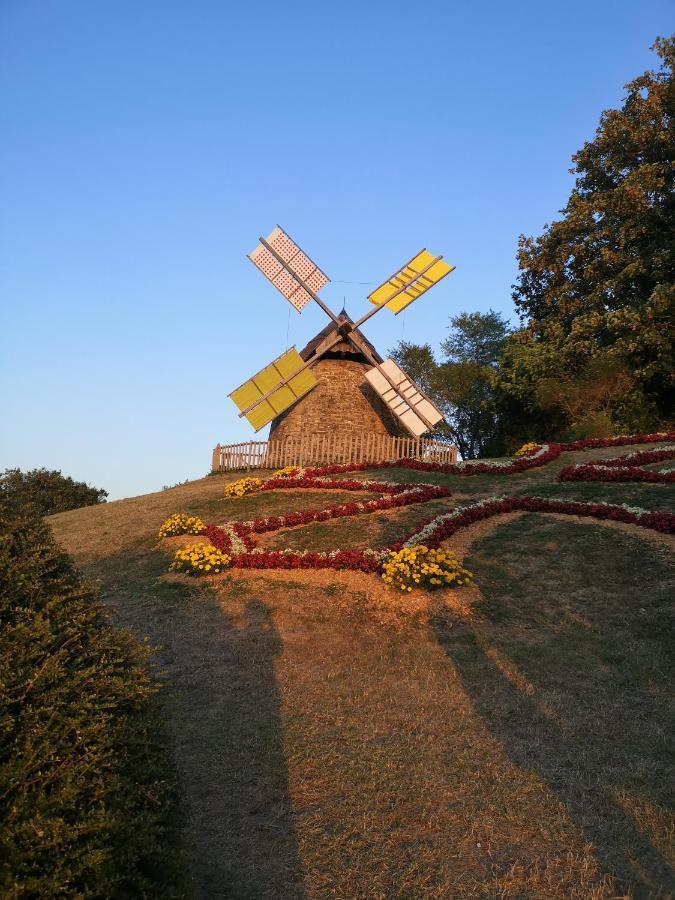 Symphony Du Vivant Homestay *